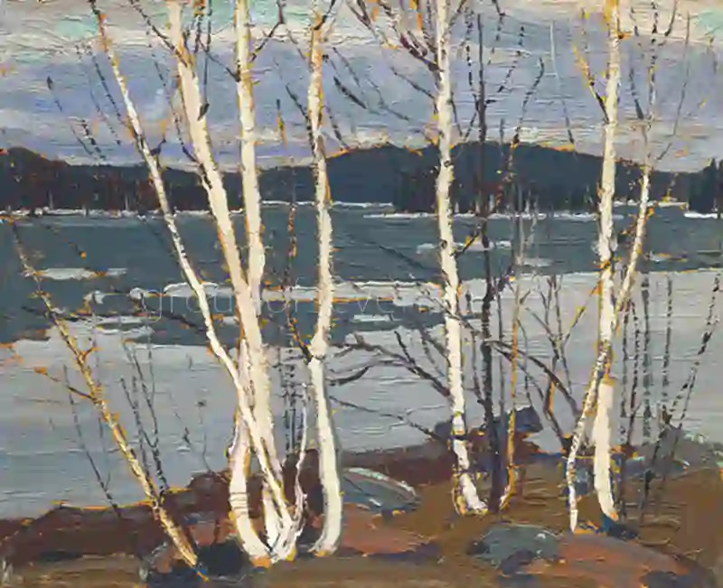 Spring In Algonquin Park
