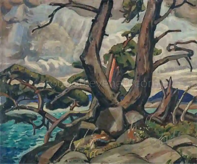 Old Pine, McGregor Bay