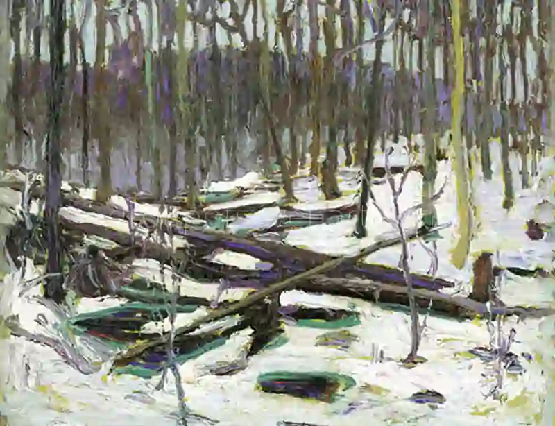 Winter Algonquin Park