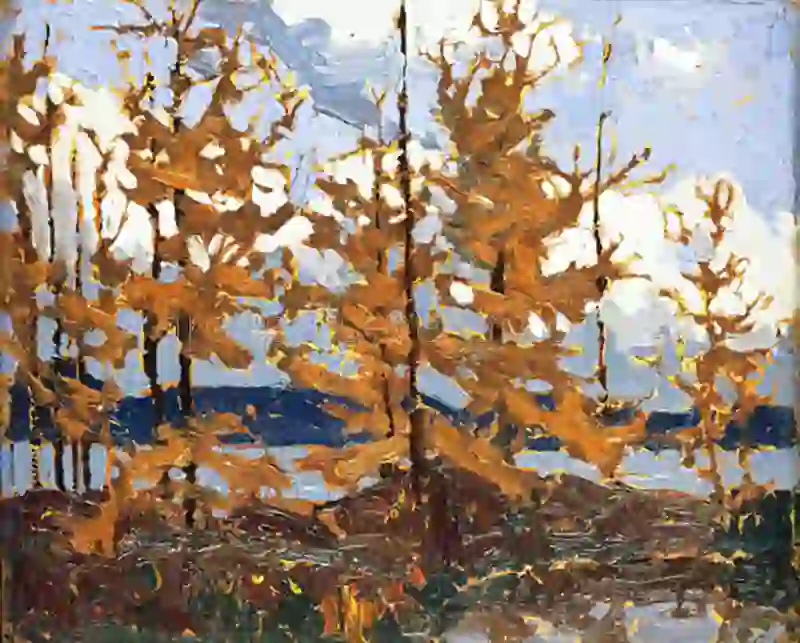Tamarack Fall