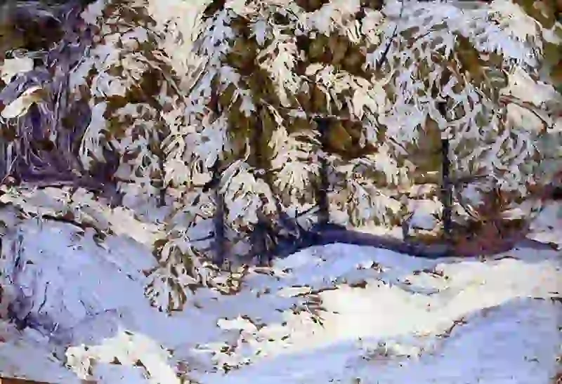 First Snow In Autumn