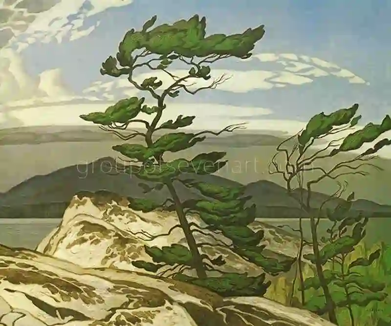 The White Pine 1957