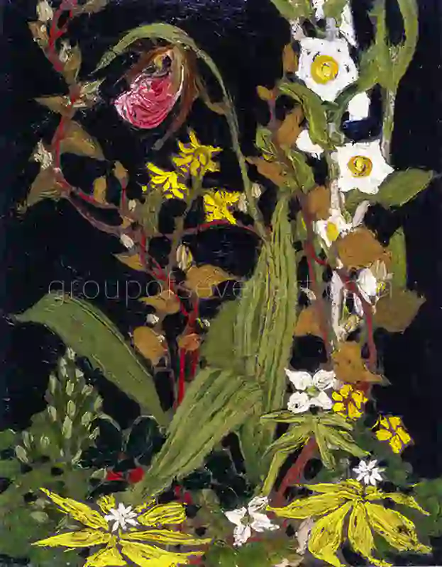 Moccasin Flower 1915