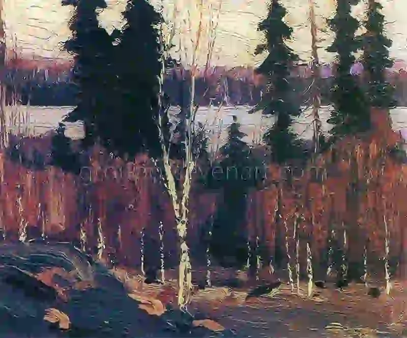 Clearing, Algonquin Park