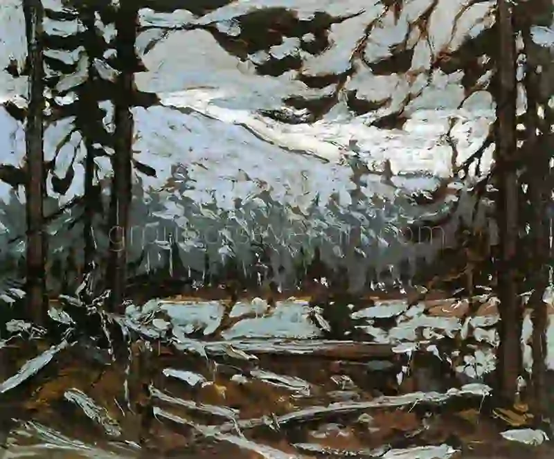 Woodland Interior