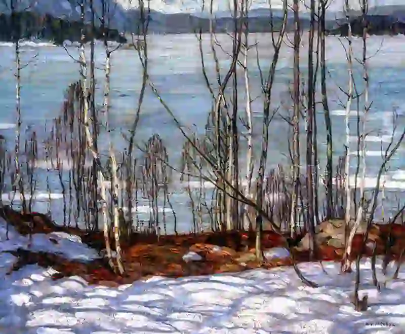 Frozen Lake Early Spring