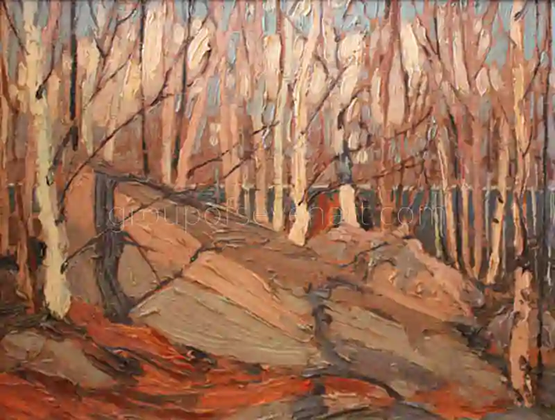 Rock Birches And Sunlight