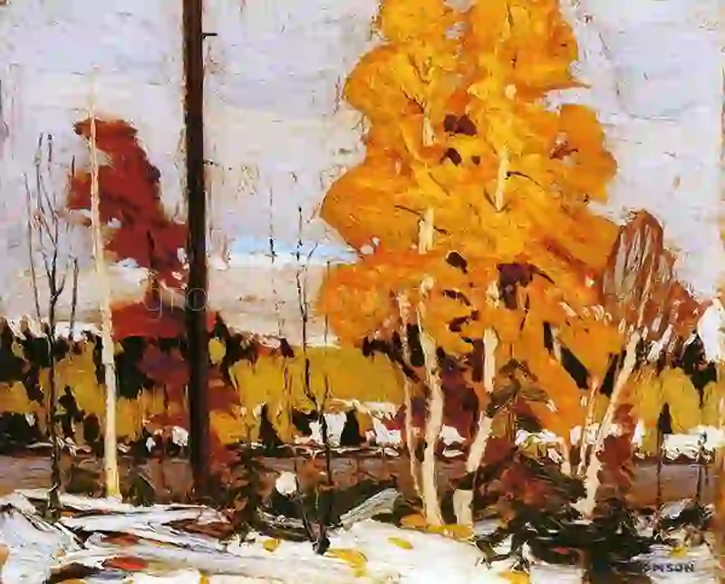 Near Grand Lake, Algonquin Park