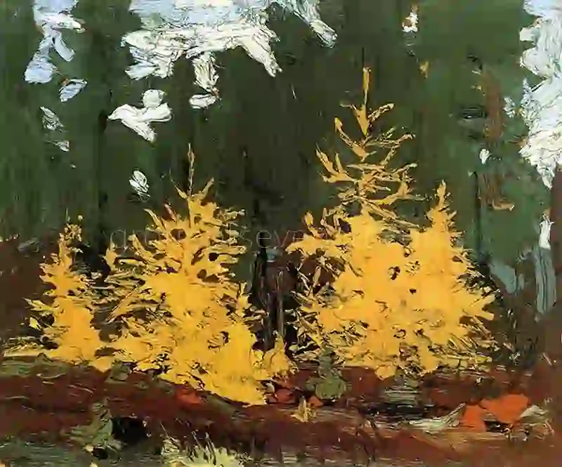 Tamarack Fall 1915