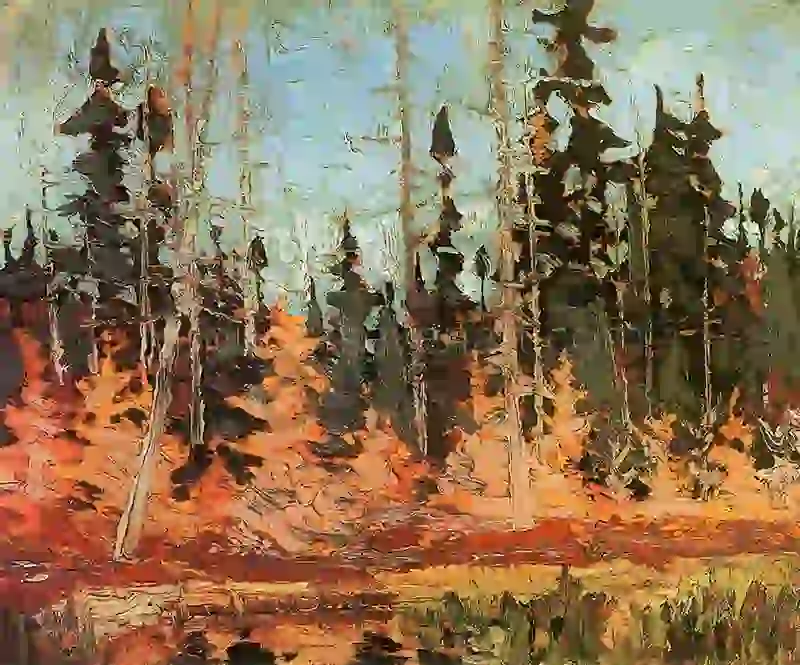 Spruce And Tamarack, Fall 1916