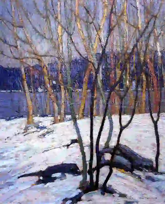 Winter Birches
