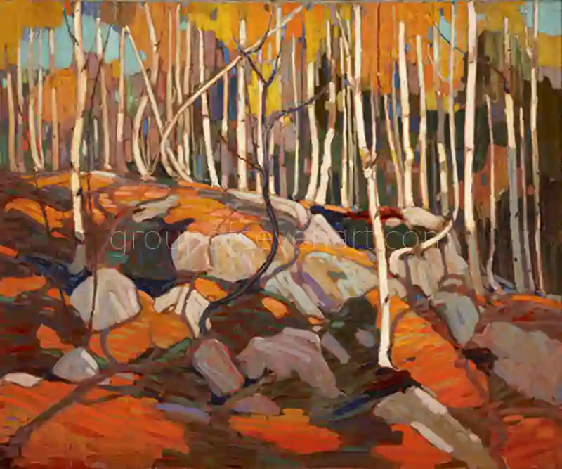The Birch Grove