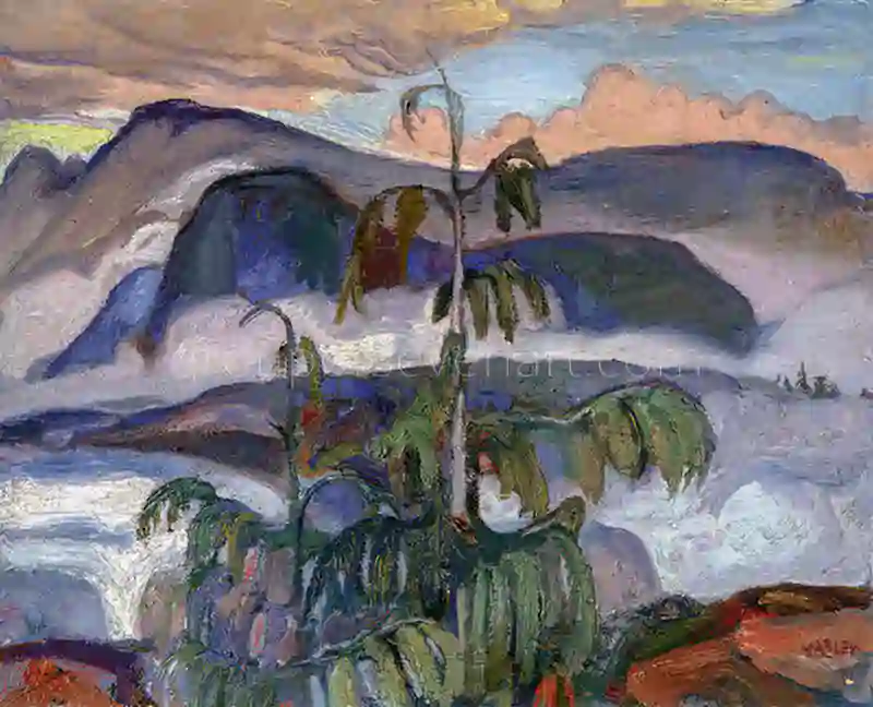 Evening After Rain