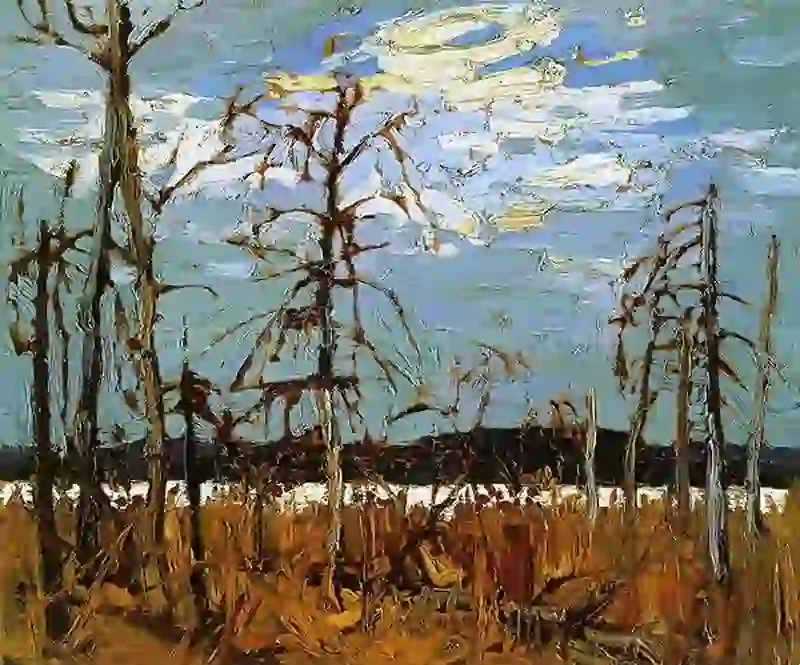 Tamarack Swamp