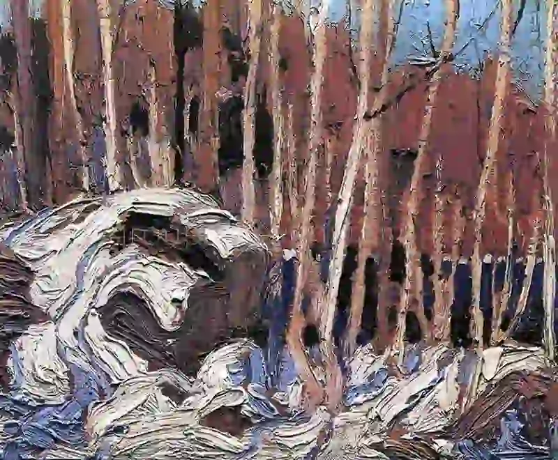 Northern Spring