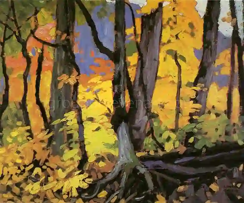 Woodland Interior 3