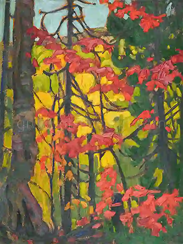 Red Maple