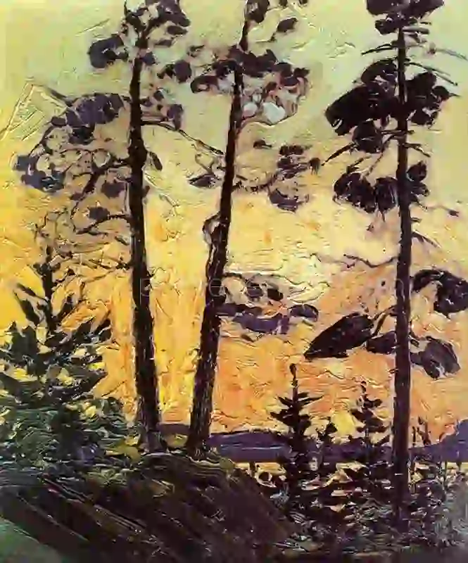 Pine Trees At Sunset