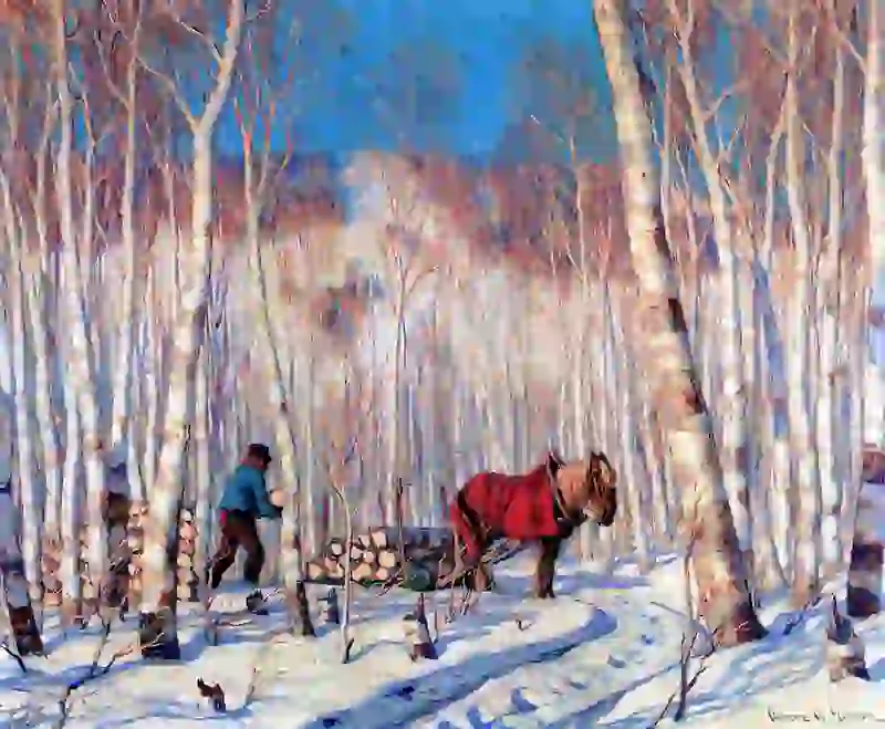 March In The Birch Woods