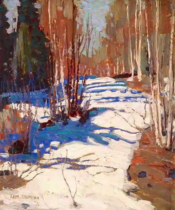 Path Behind Mowat Lodge